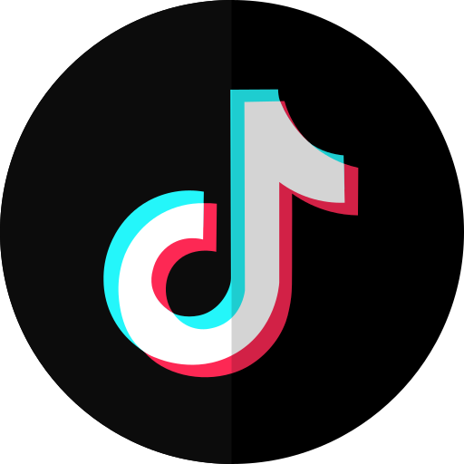 TikTok [Mr RISHBOY]